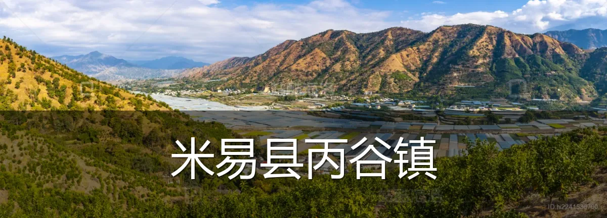 米易县丙谷镇
