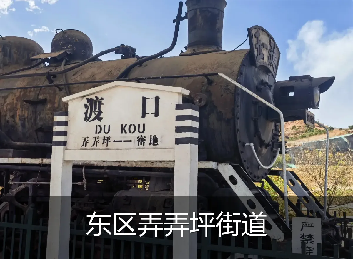东区弄弄坪街道