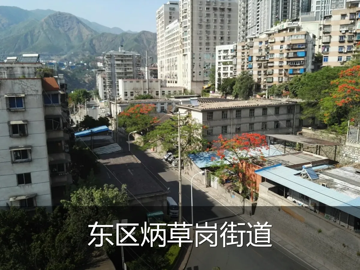 东区炳草岗街道