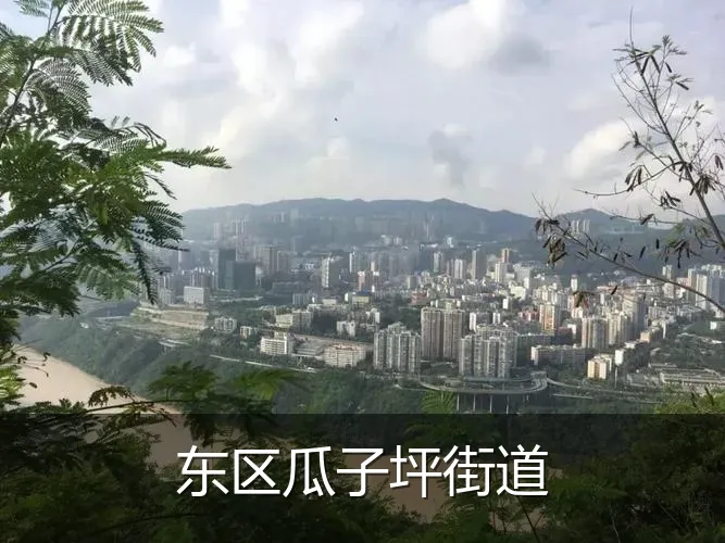 东区瓜子坪街道