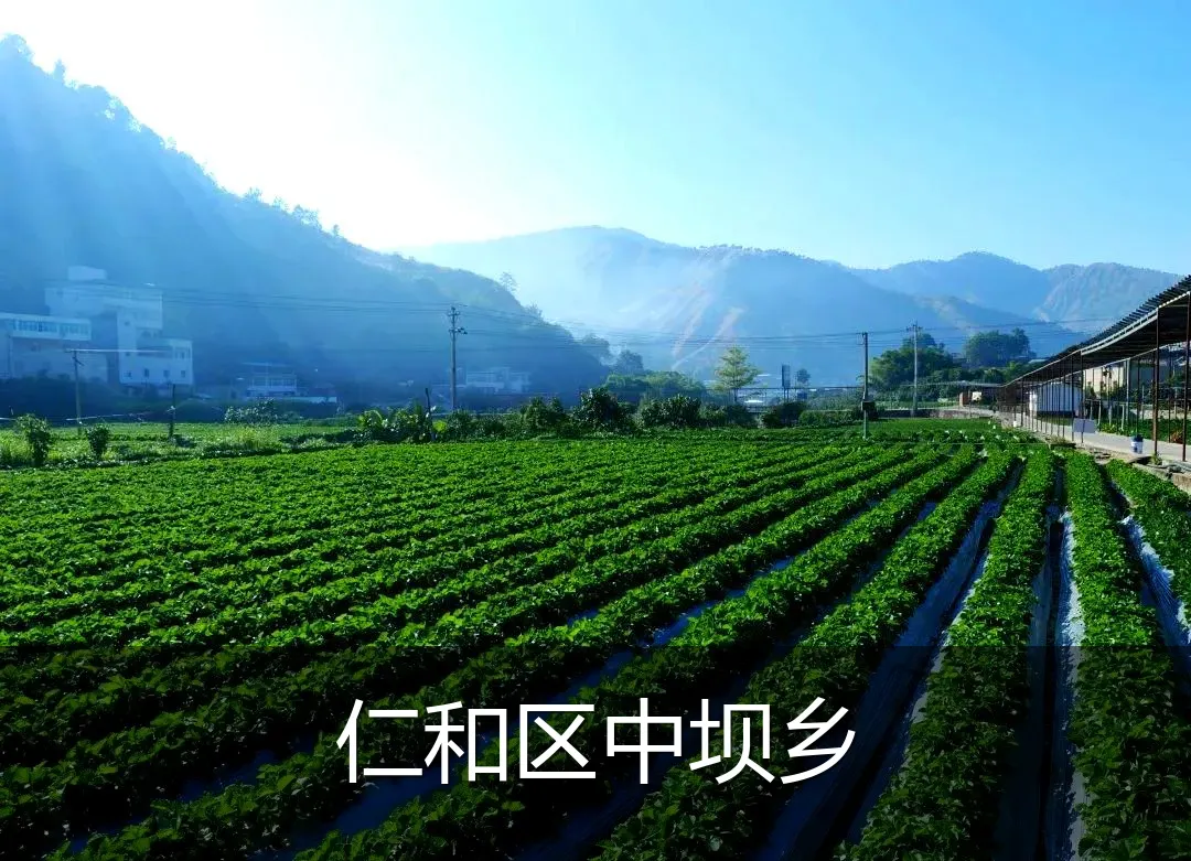 仁和区中坝乡