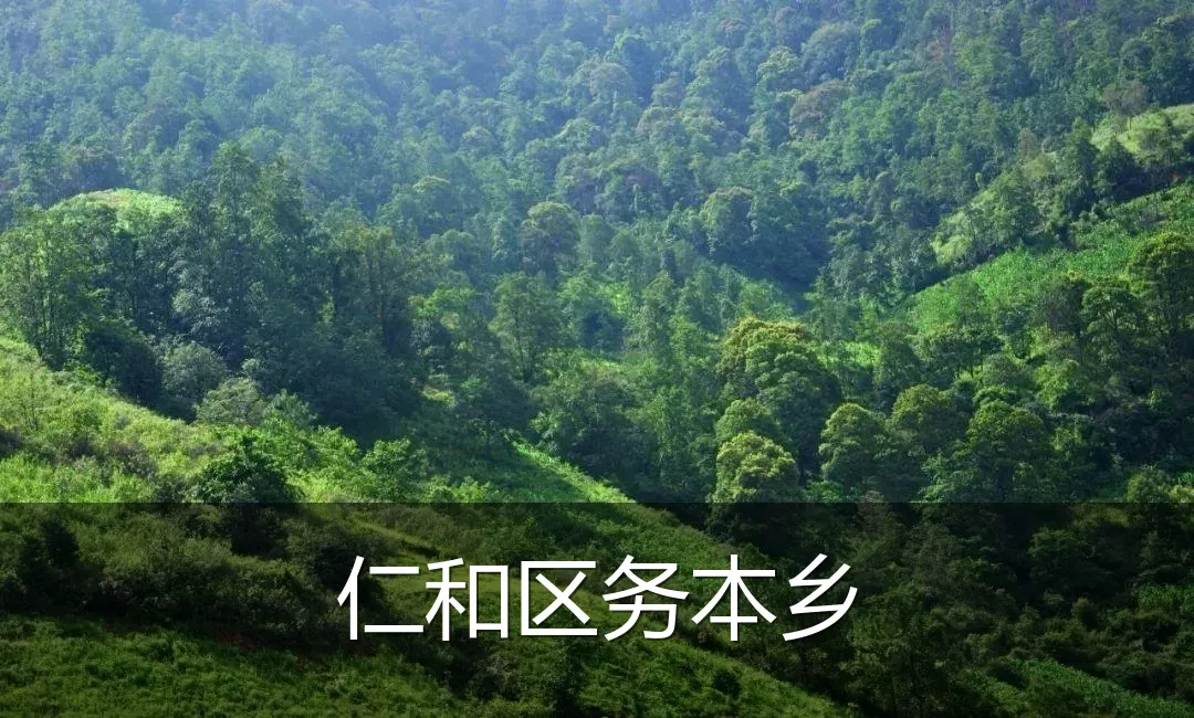 仁和区务本乡