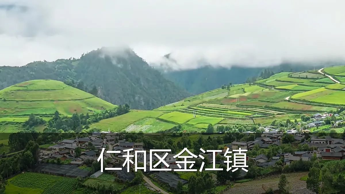 仁和区金江镇
