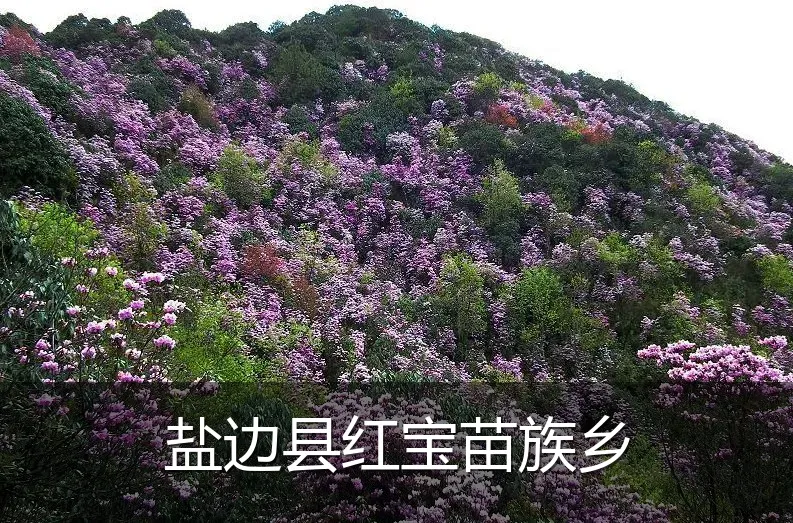 盐边县红宝苗族乡