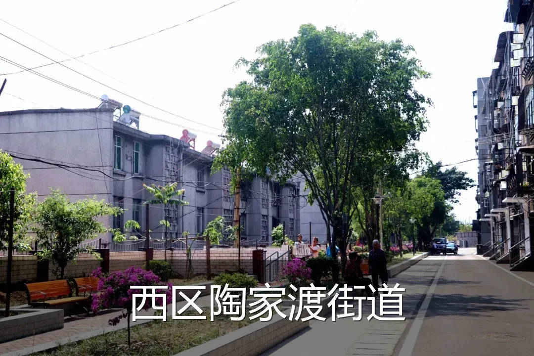 西区陶家渡街道