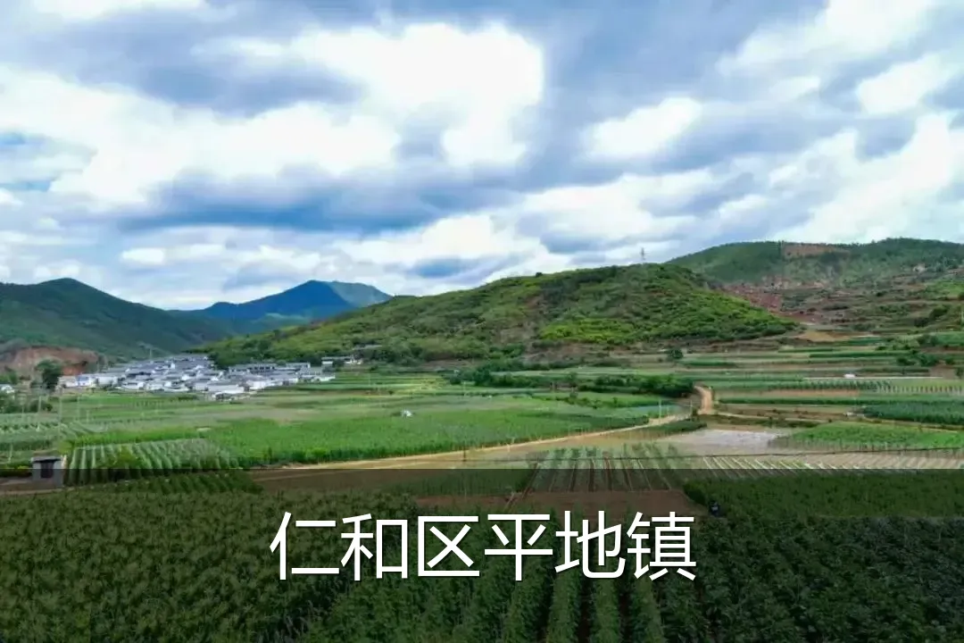 仁和区平地镇