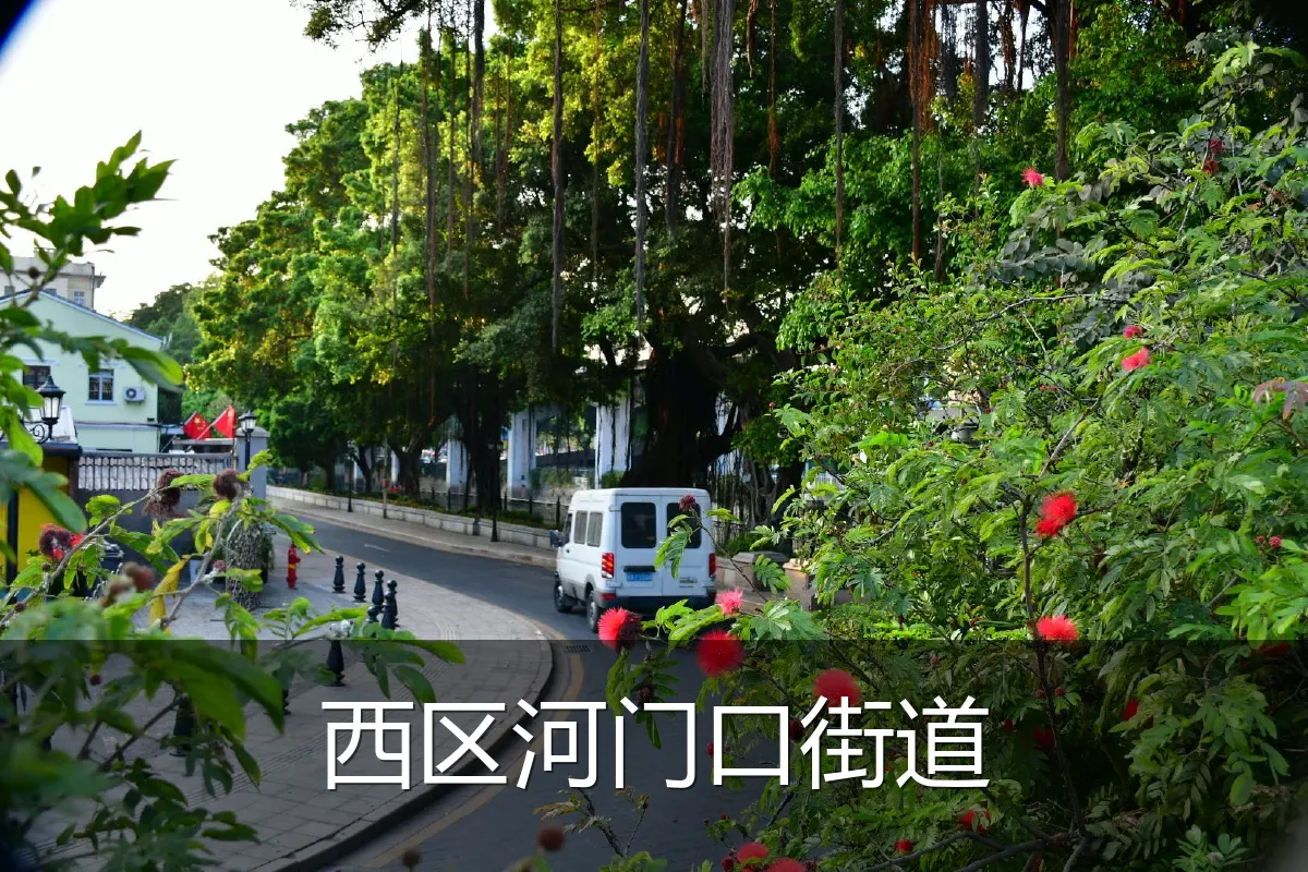 西区河门口街道